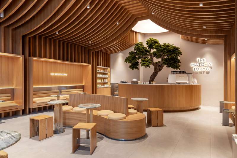 The Matcha Tokyo